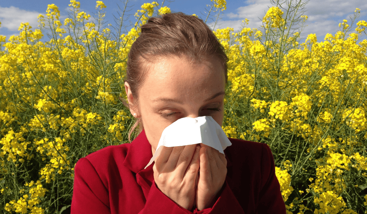 Te rośliny wspomogą walkę z alergią!
