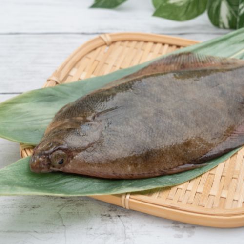 Poważne skutki zatrucia, 5 osób w szpitalu. Sanepid wydał pilny komunikat