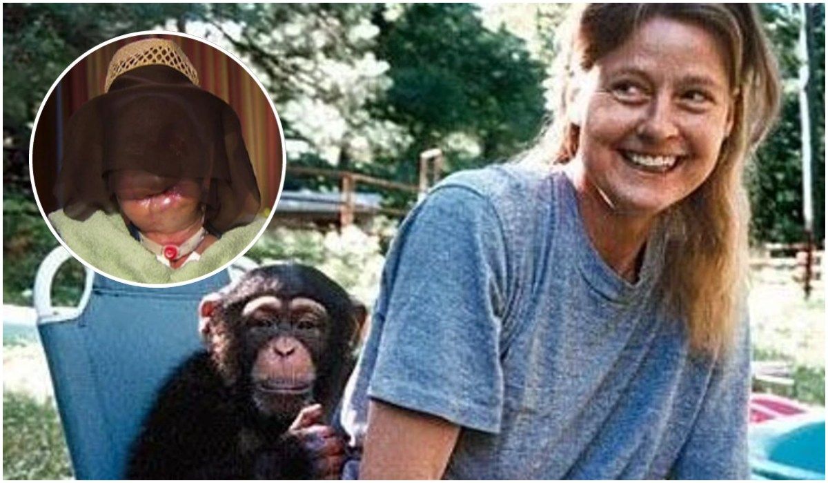 Charla Nash i szympans Travis
