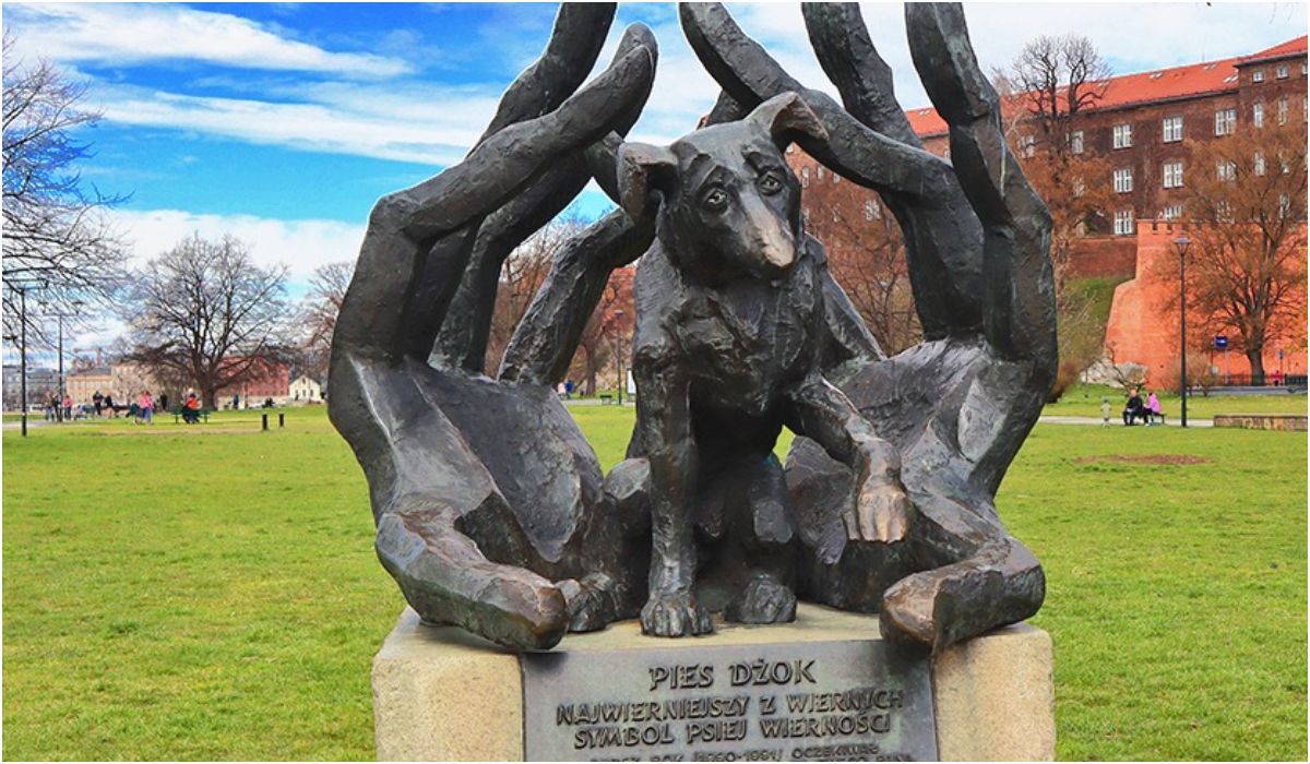 Pomnik Dżoka symbolizuje psią wierność i oddanie nawet po śmierci