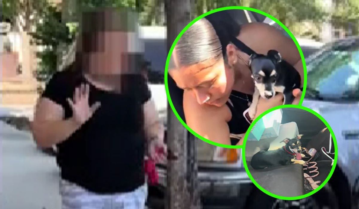 Nieznajoma kobieta uratowała psa zamkniętego w samochodzie