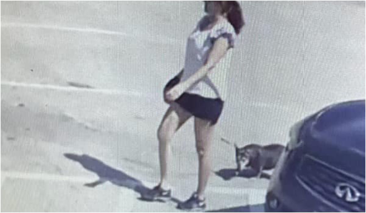 Kamera przyłapała kobietę na porzuceniu psa