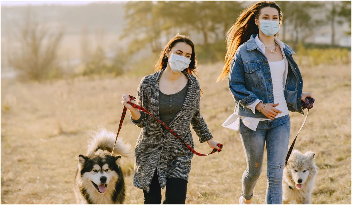 Spacer z psem w smogu