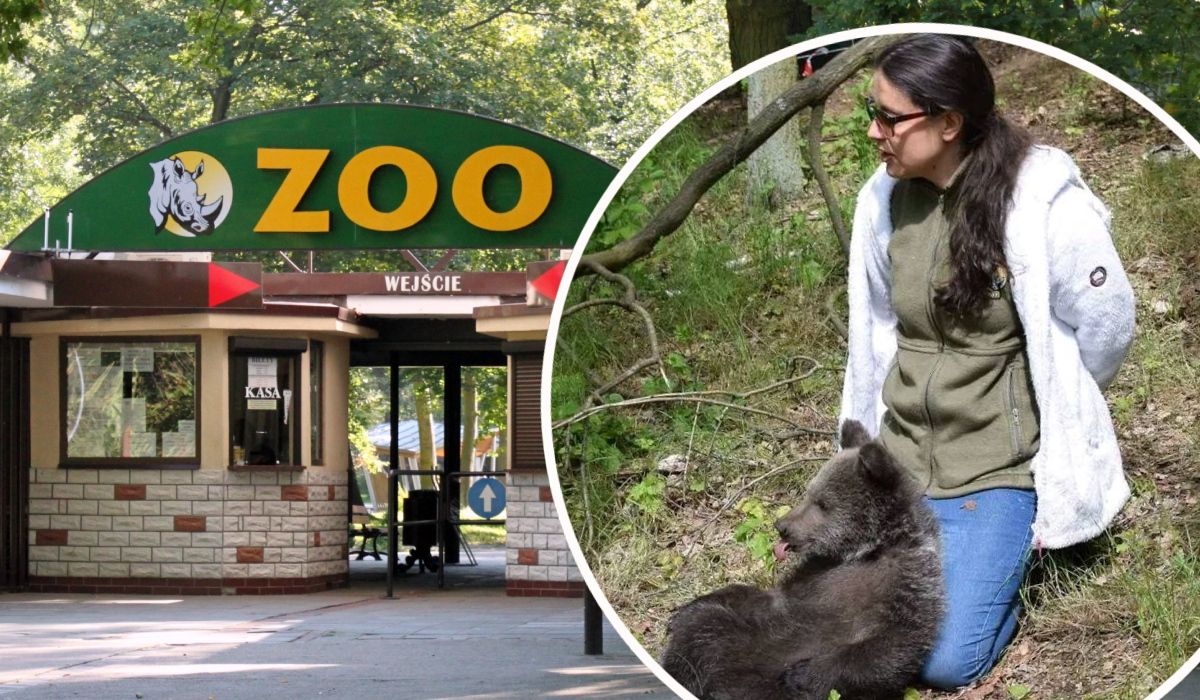 Dyrektor poznańskiego zoo