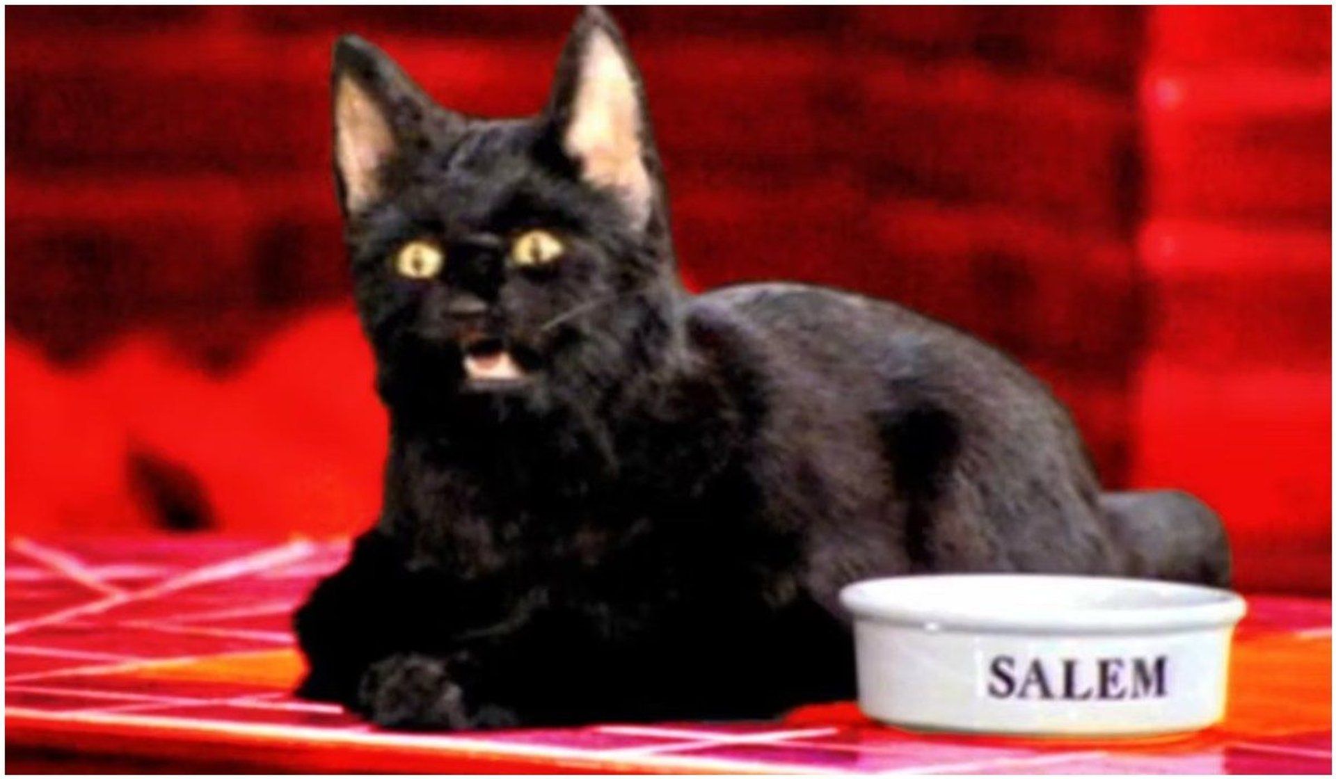 Salem z programu "Sabrina, nastoletnia czarownica"