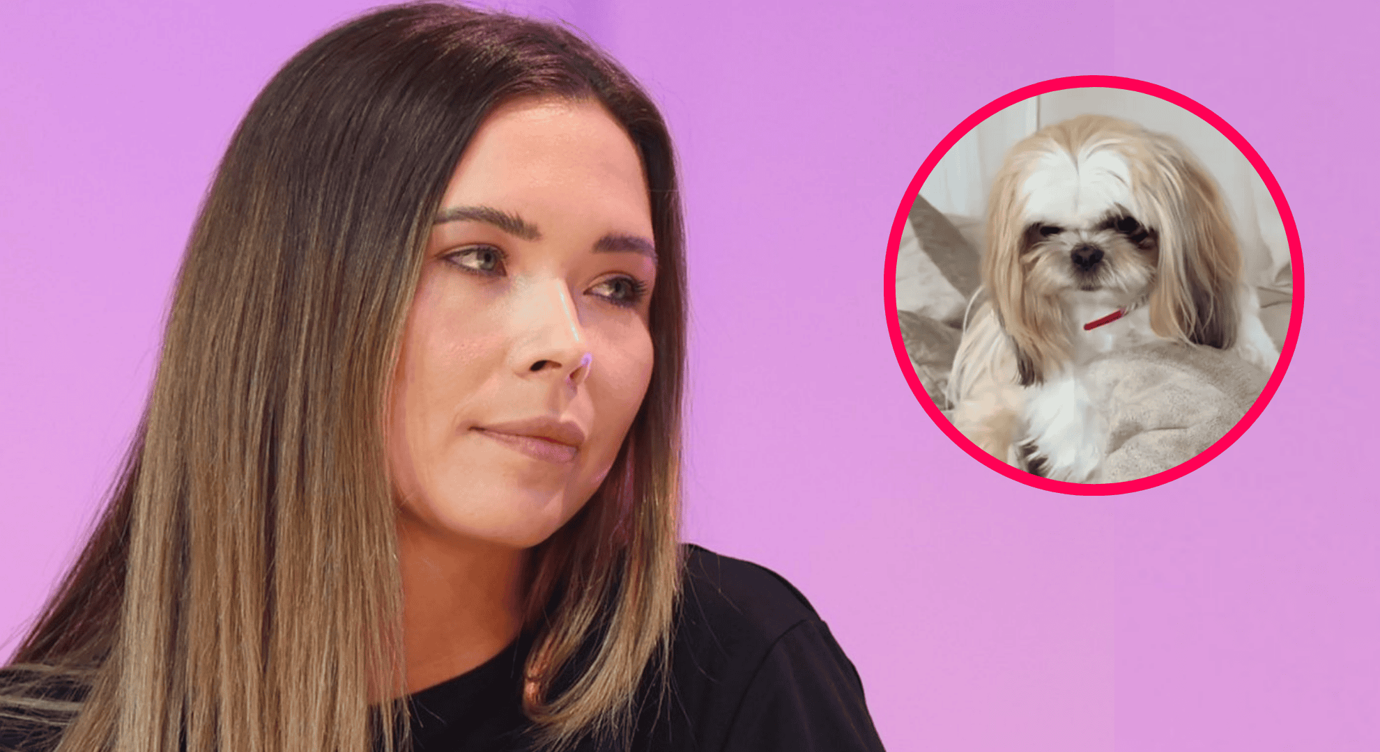 Pies pogryzł syna Kubickiej. Załamana gwiazda wydała oświadczenie