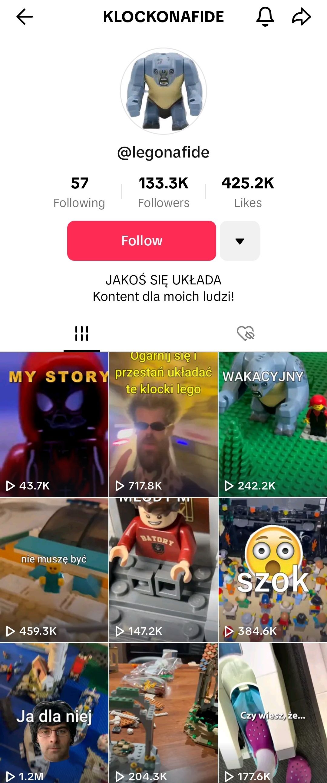 Screenshot_20230612_130212_TikTok.jpg