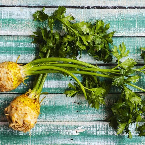 Co zrobić, żeby seler poszedł w korzeń? Zasady uprawy