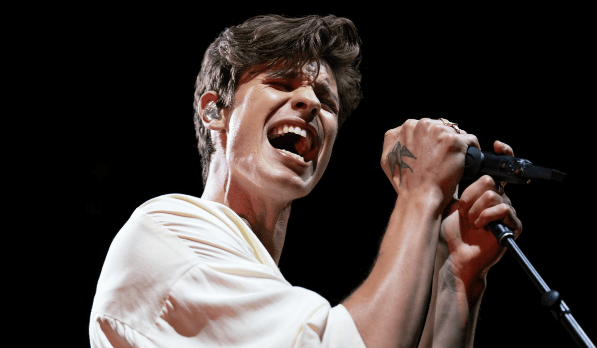 Shawn Mendes (4).png