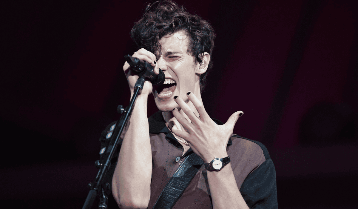 Shawn Mendes (6).png