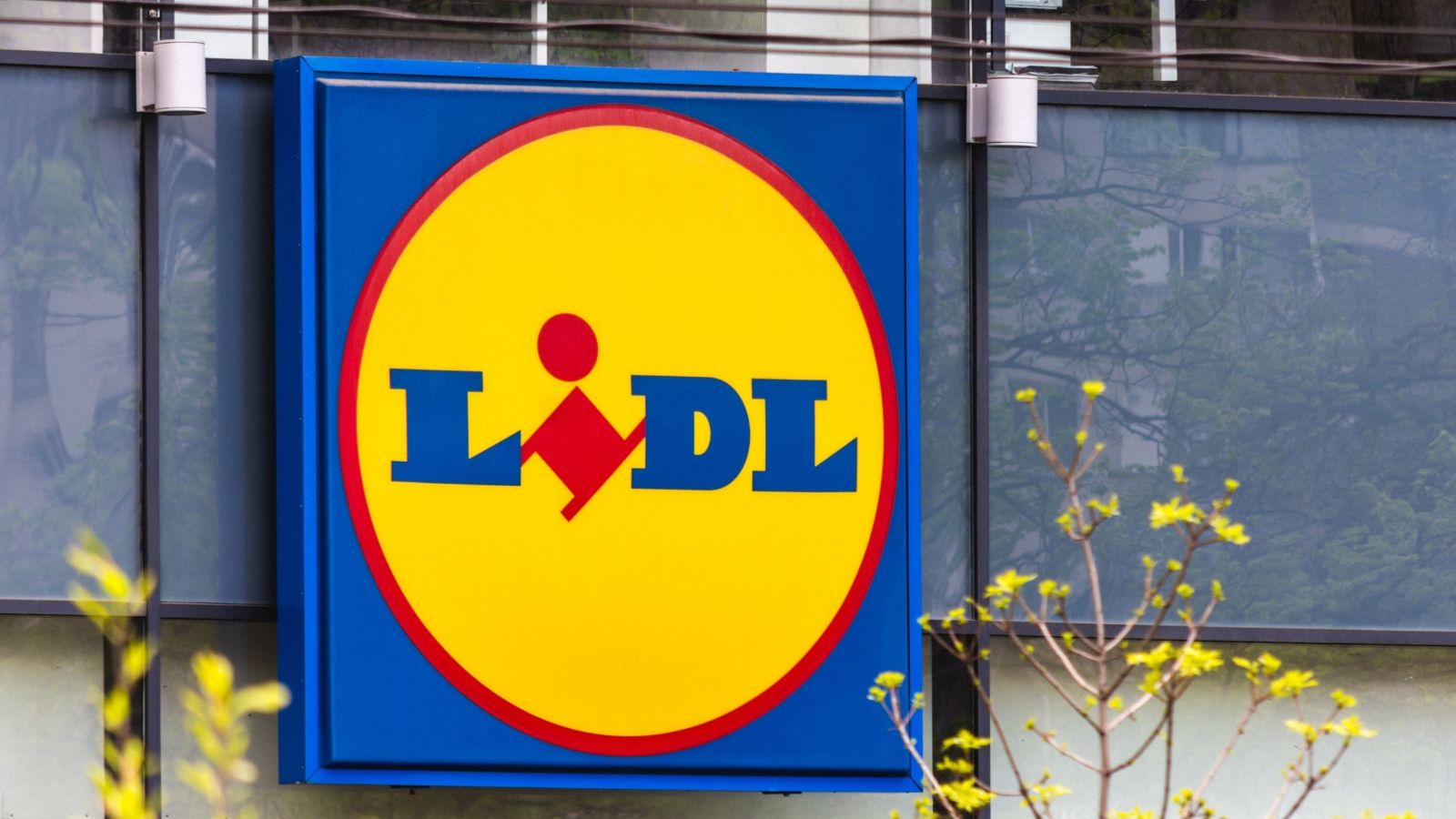 W Lidlu promocyjne perełki. Na taki festiwal okazji czekali klienci
