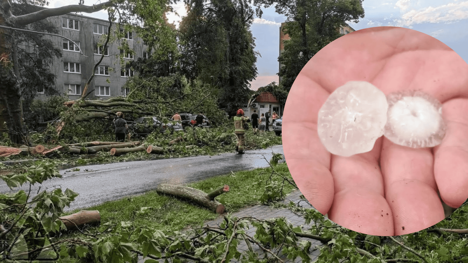 Fot. x.com/Sieć Obserwatorów Burz