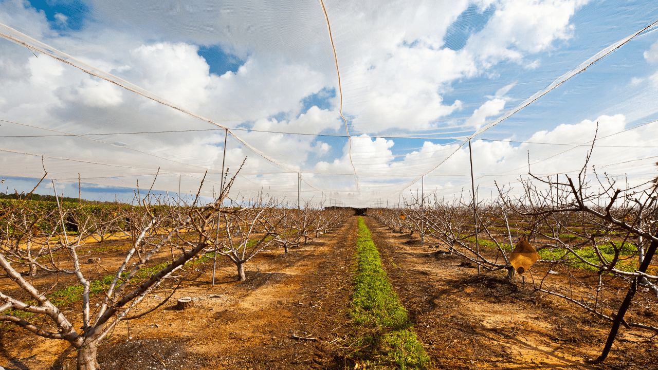Magdalena Fordymacka
