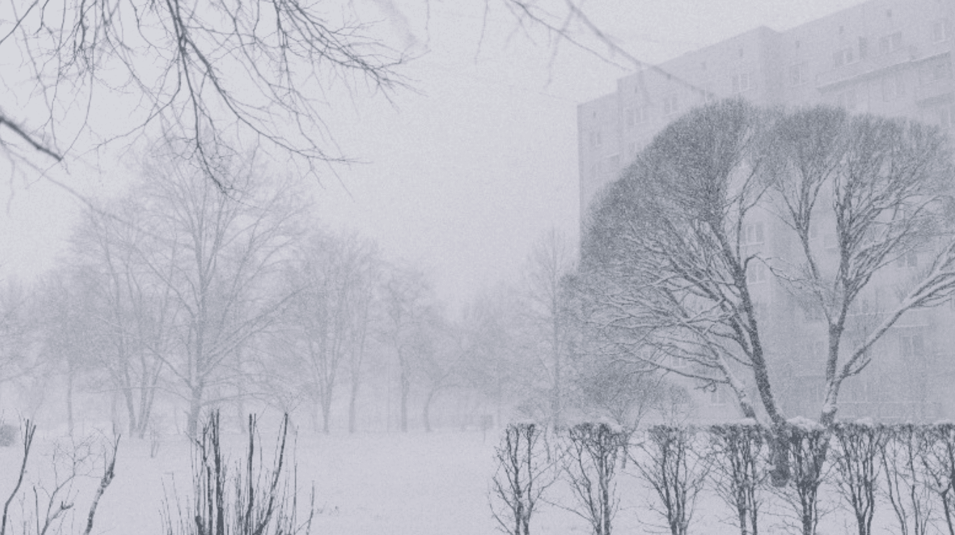 Nie tylko śnieg i wiatr. IMGW ostrzega przed skutkami "Petralilly"