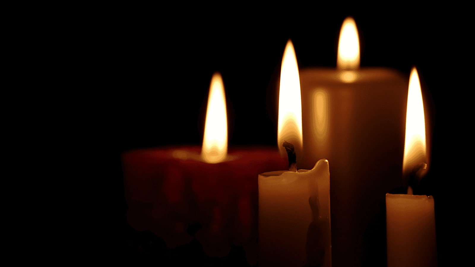 Dorota Łukasik