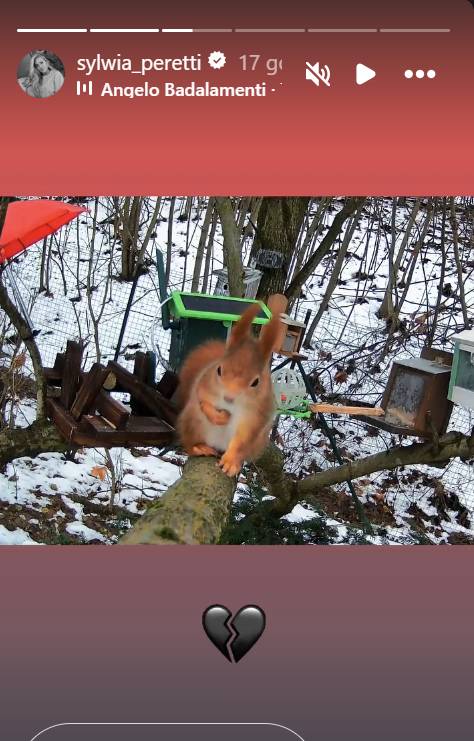 Sylwia Peretti pokazała zdjęcia z grobu syna. Poruszające słowa