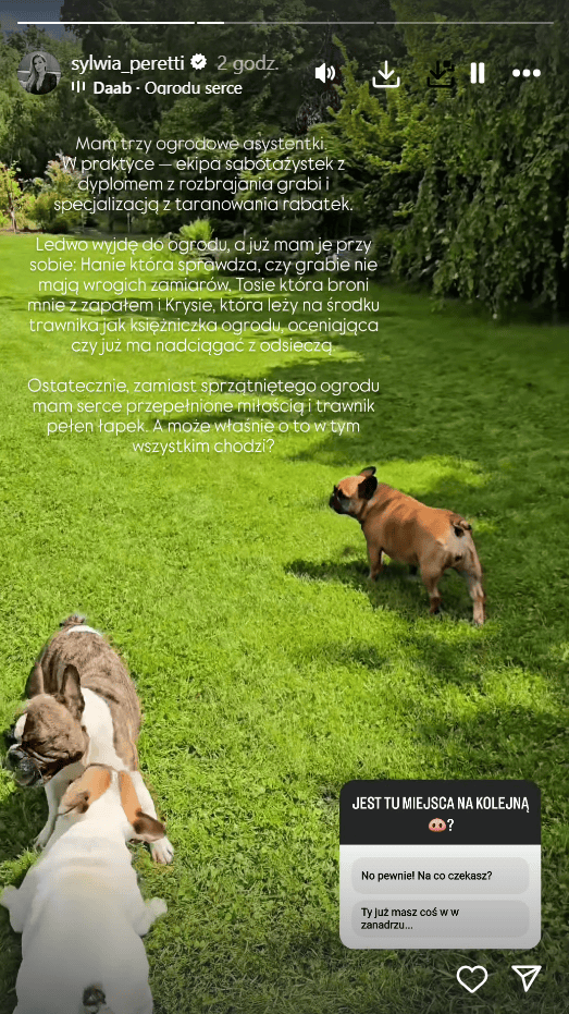 Rodzina się powiększy. Helenka to spełnienie marzeń Sylwii Peretti. "Przysyłasz mi ją z góry"