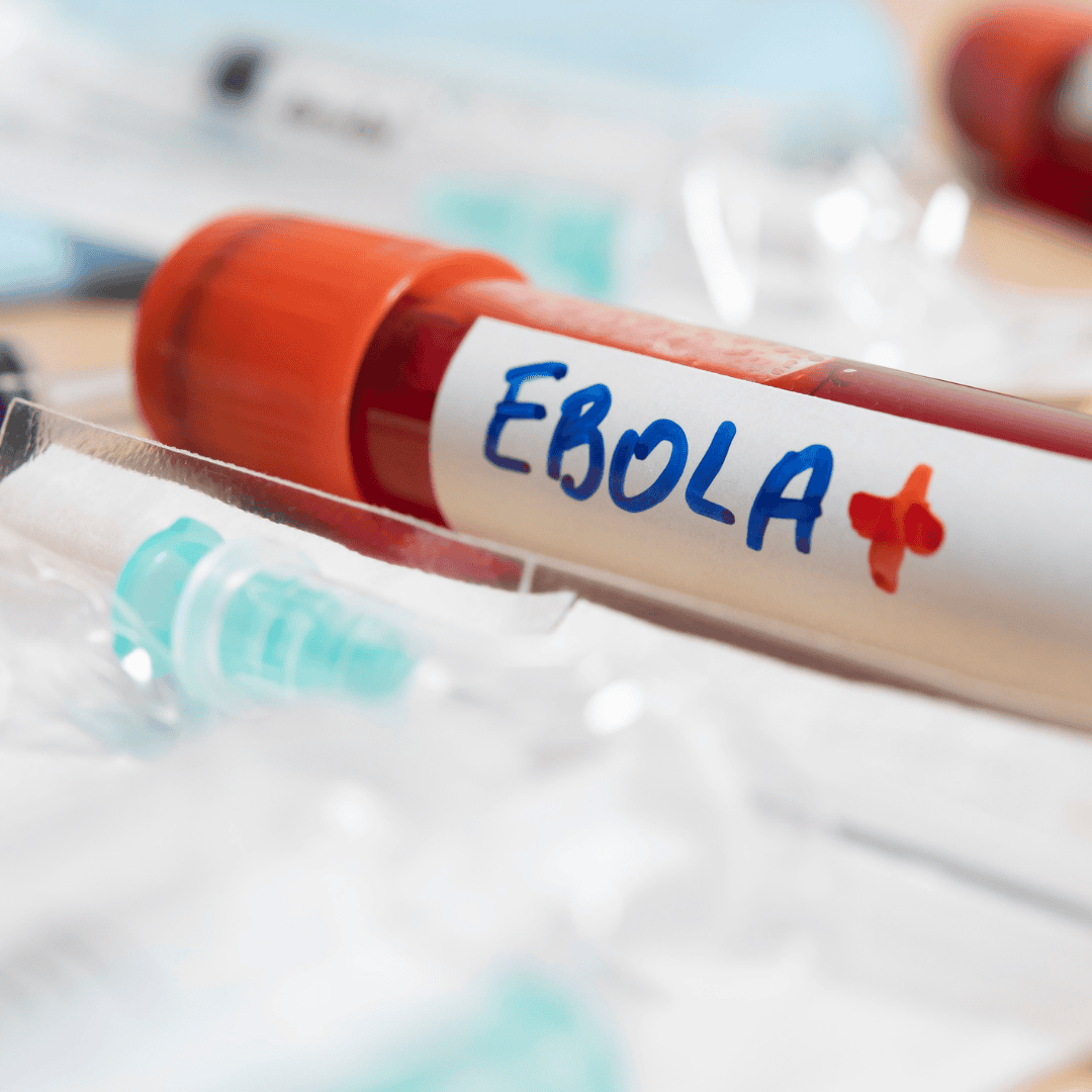 Apel z Watykanu. Papież prosi o pomoc w walce z wirusem ebola