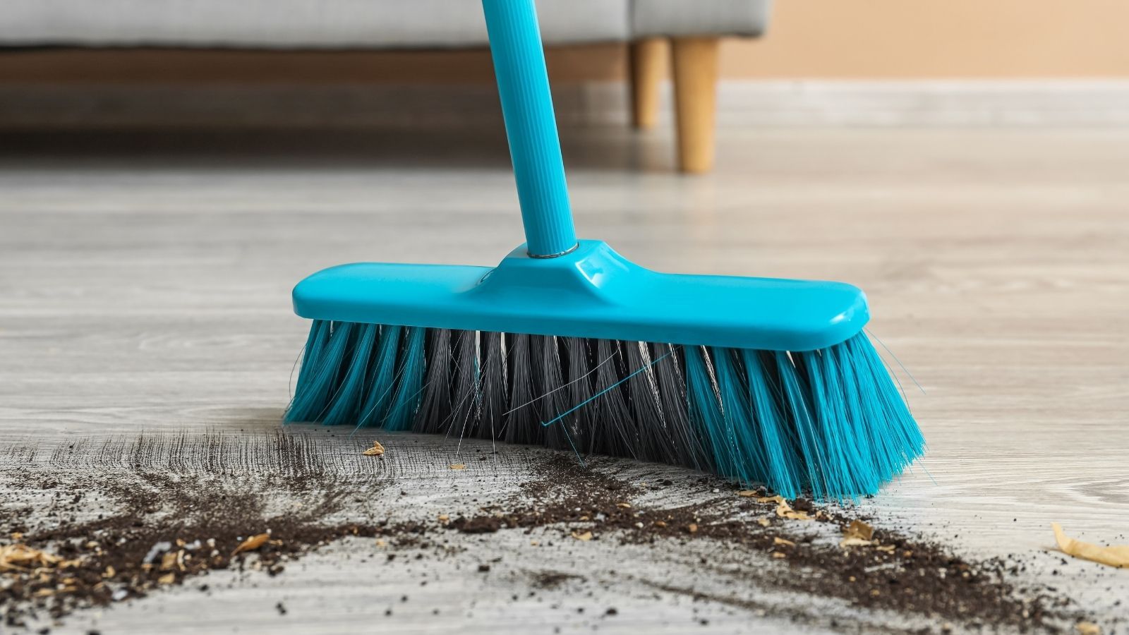 Miotła