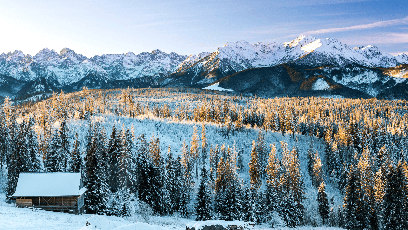 Odczuwalna temperatura nawet -30 stopni. Nagła zmiana pogody w Polsce