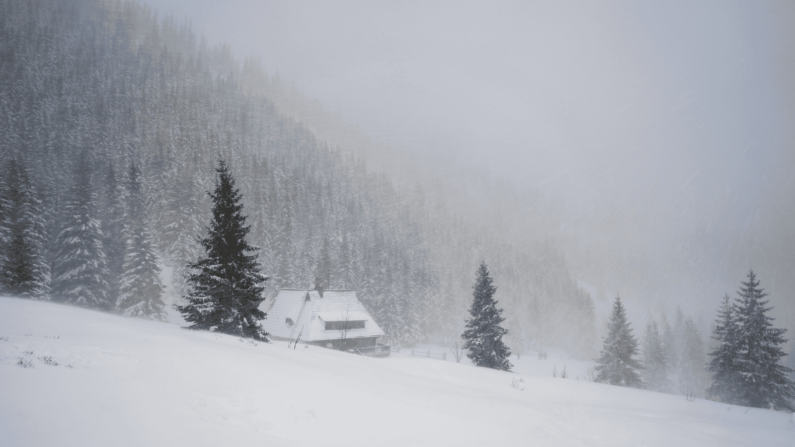 Odczuwalna temperatura choćby -30 stopni. Nagła zmiana pogody w Polsce
