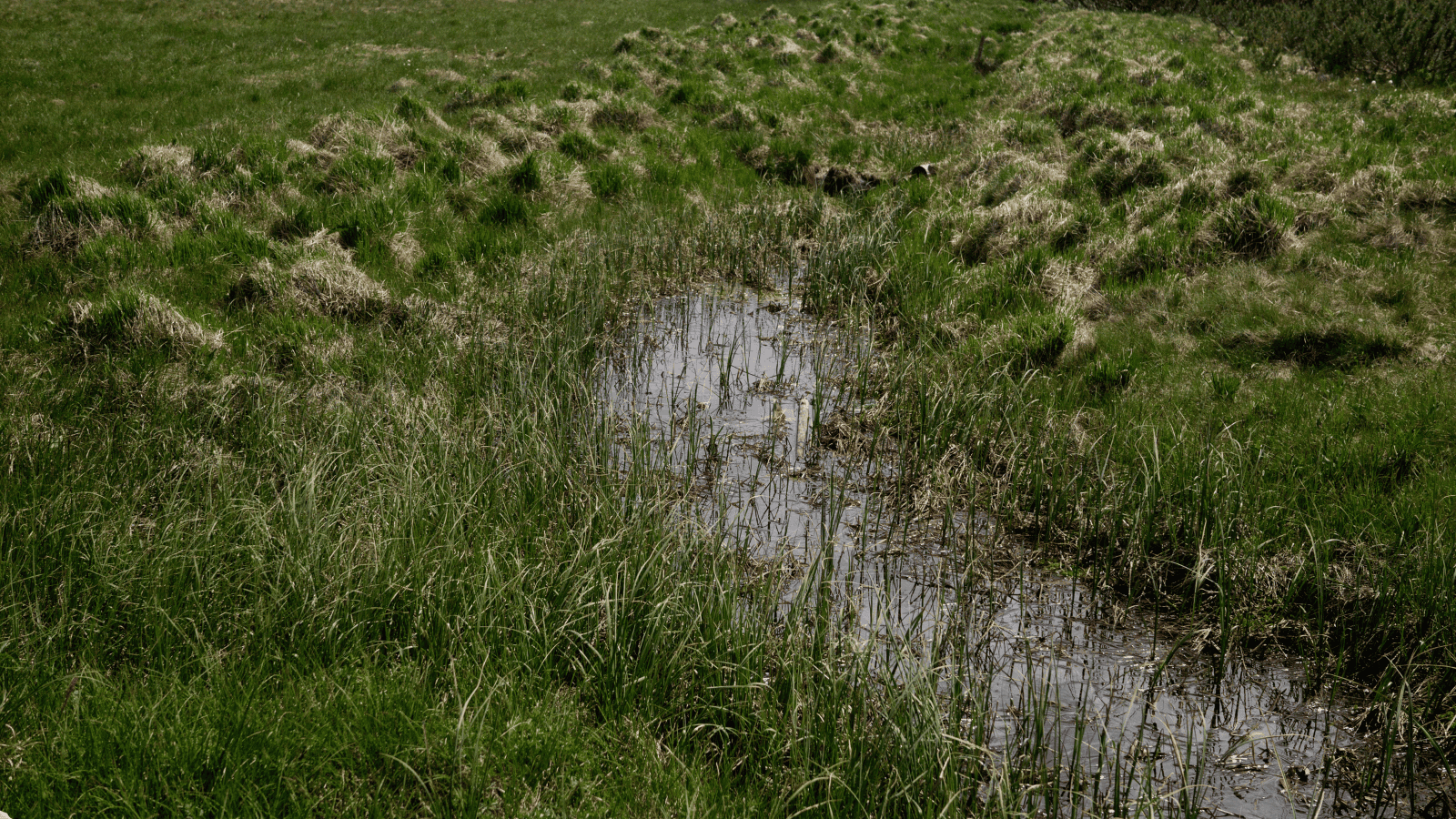 Nowe duże dopłaty dla rolników od 2026 roku. Wystarczy spełnić jeden warunek