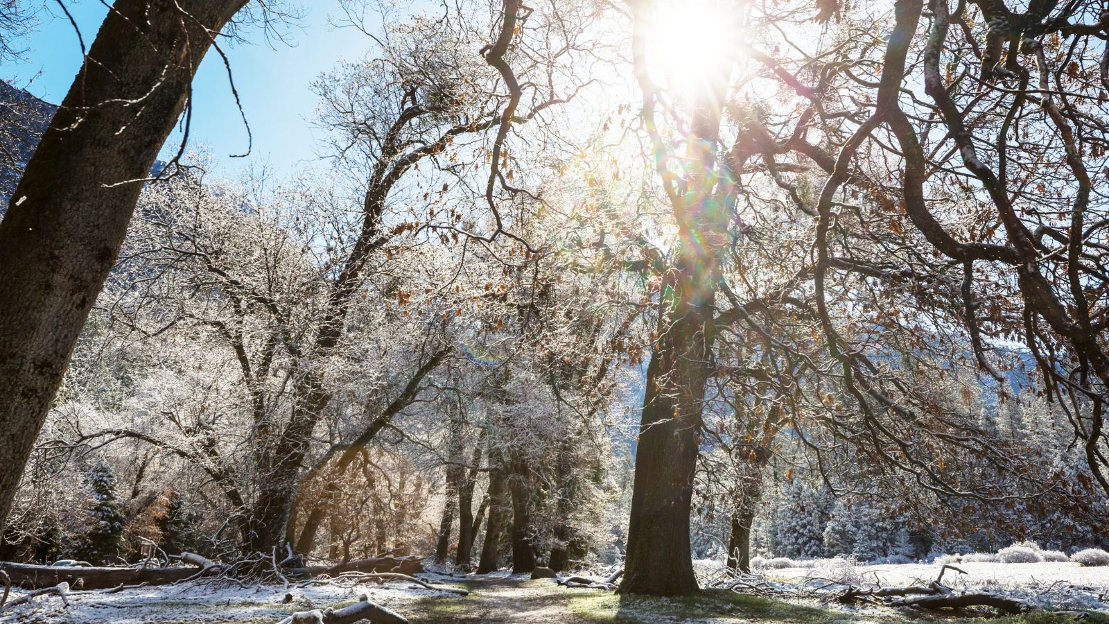 Antycyklon nadciąga do Polski. Prognozy wskazują wyraźnie, takiego grudnia nie było od dawna