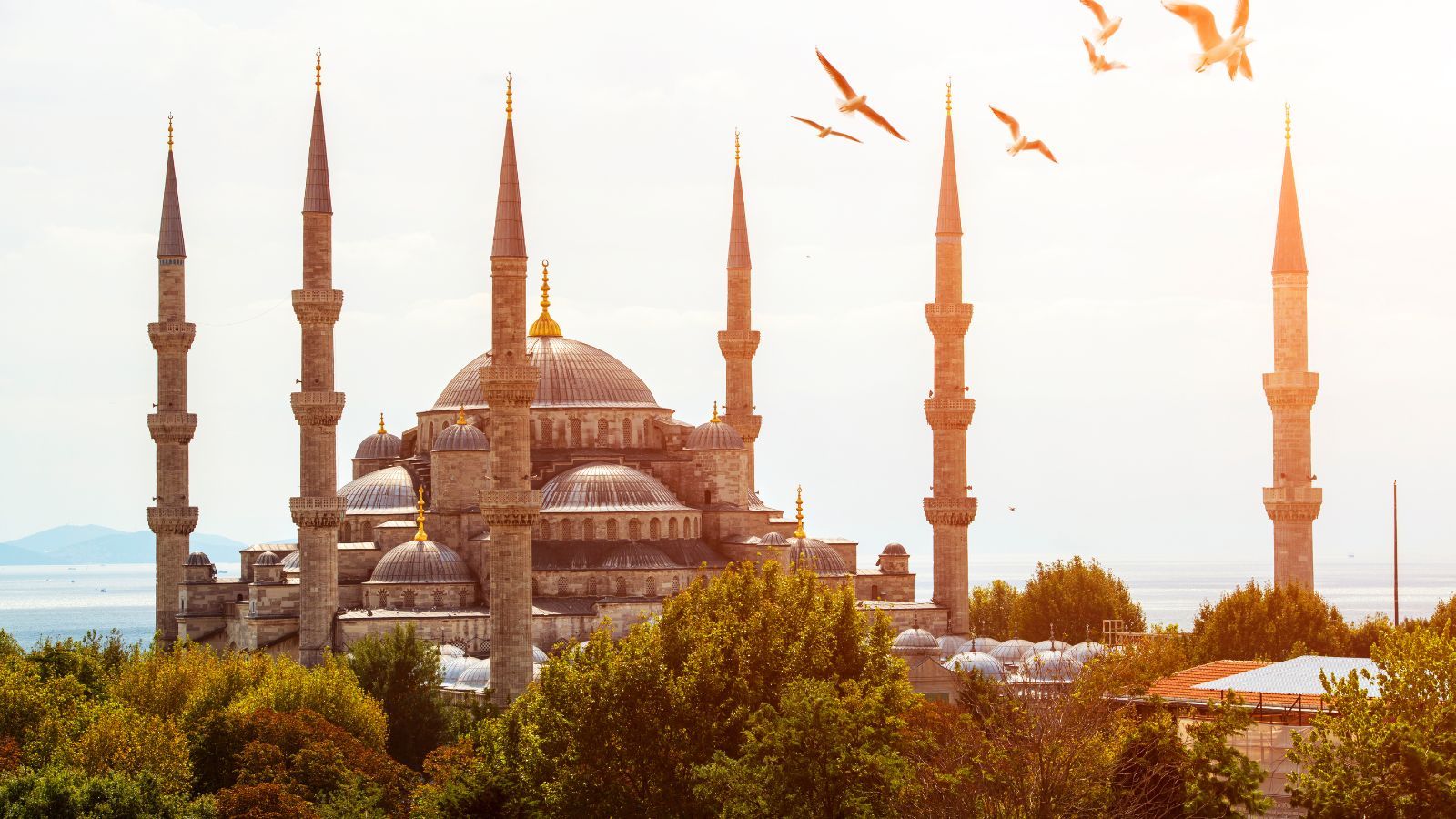 Wojna wystraszyła turystów. Biura podróży zaczęły wyprzedawać wakacje, takich cen nikt się nie spodziewał