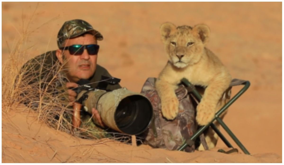 fotograf i lwiątko na safari
