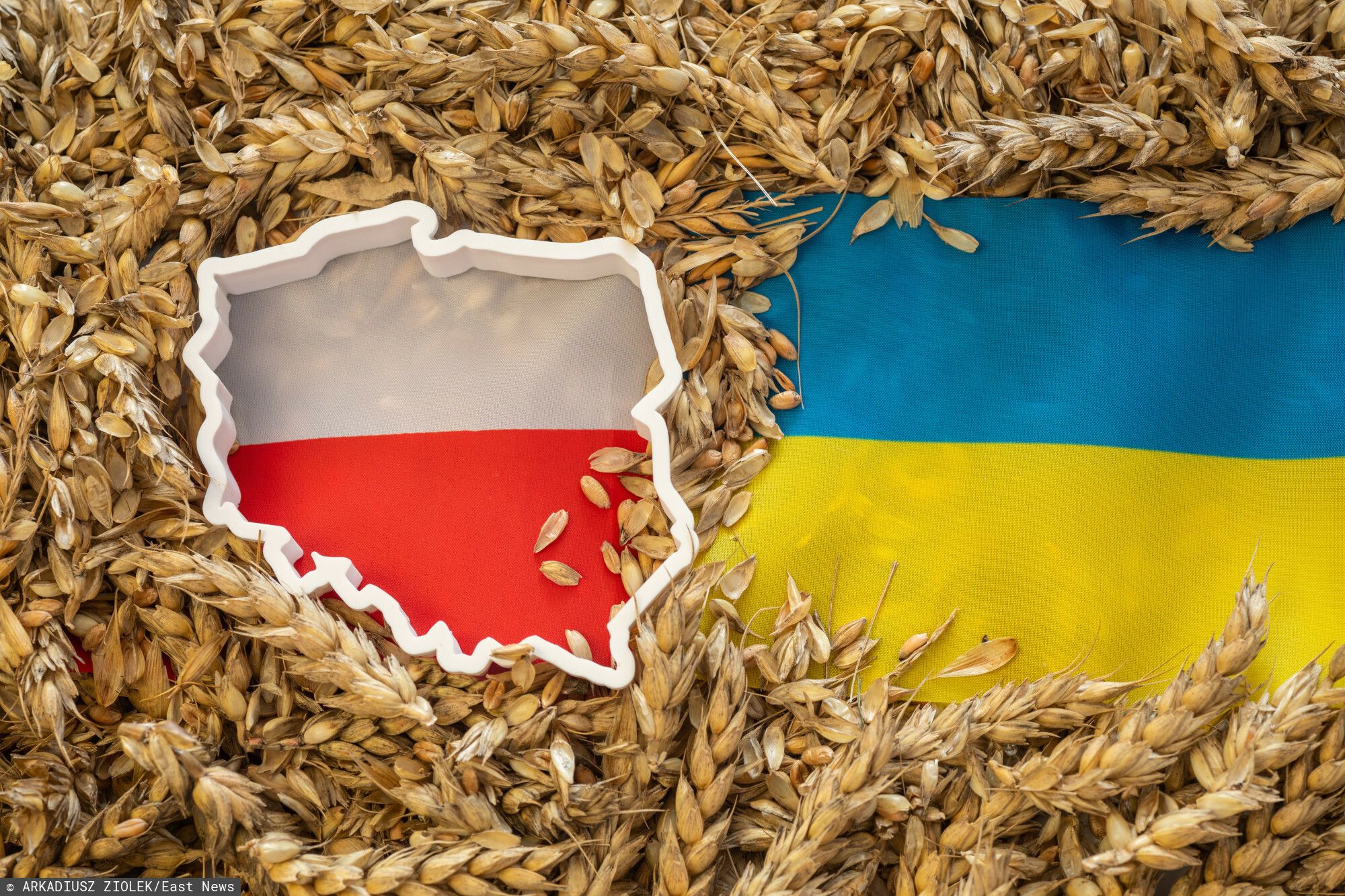 Ukraina i Polska.jpg