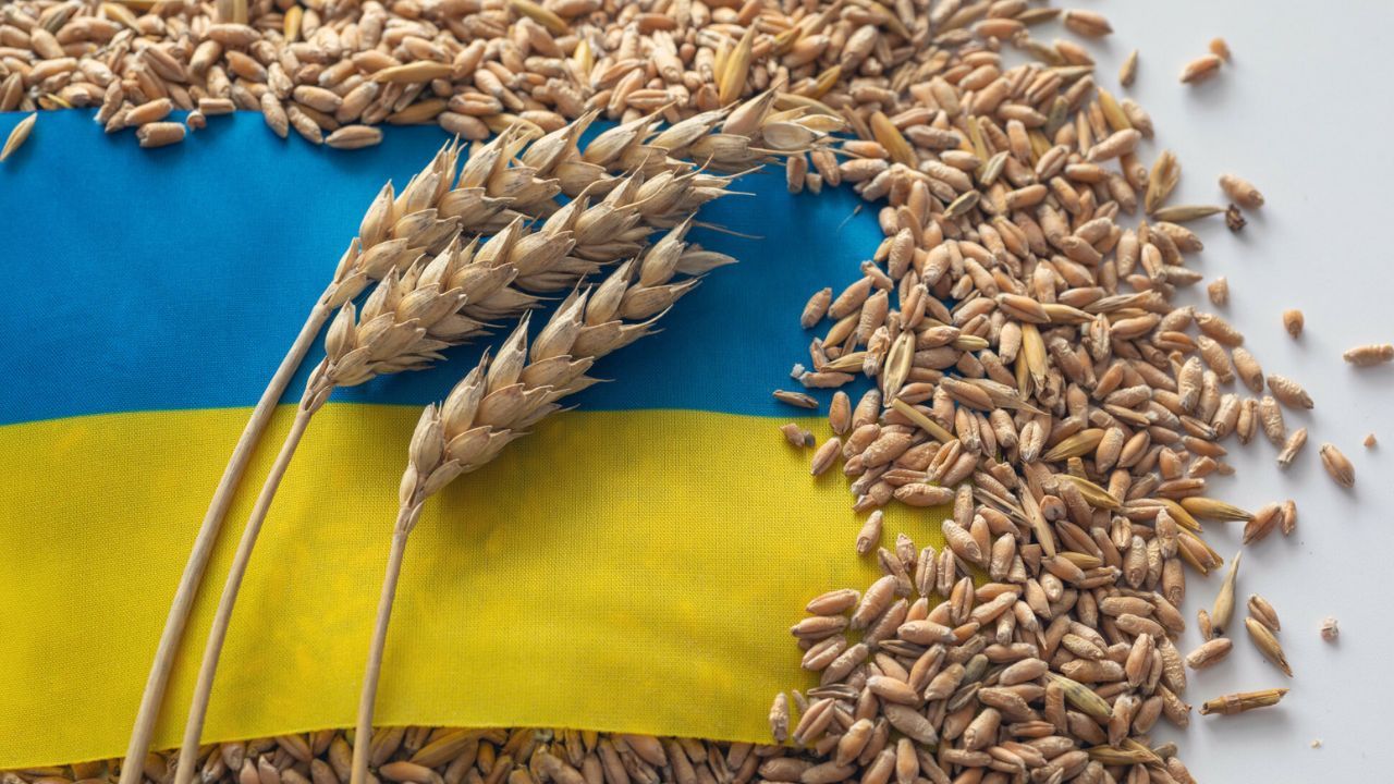 Ukraina rolnictwo