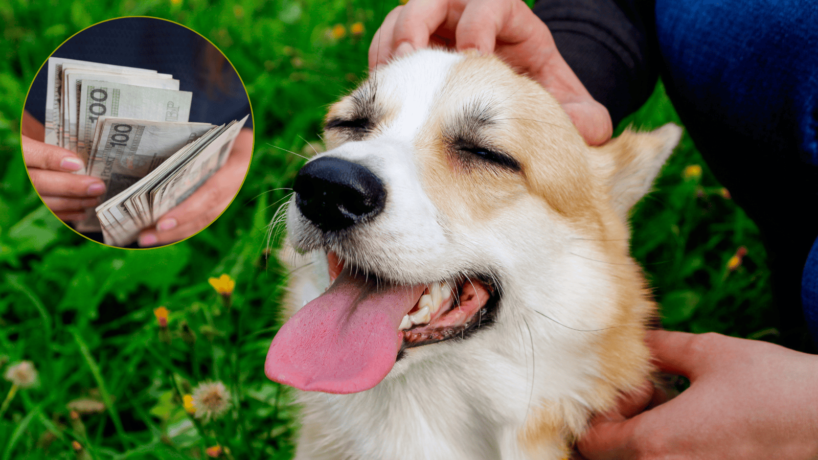 Magdalena  Fordymacka