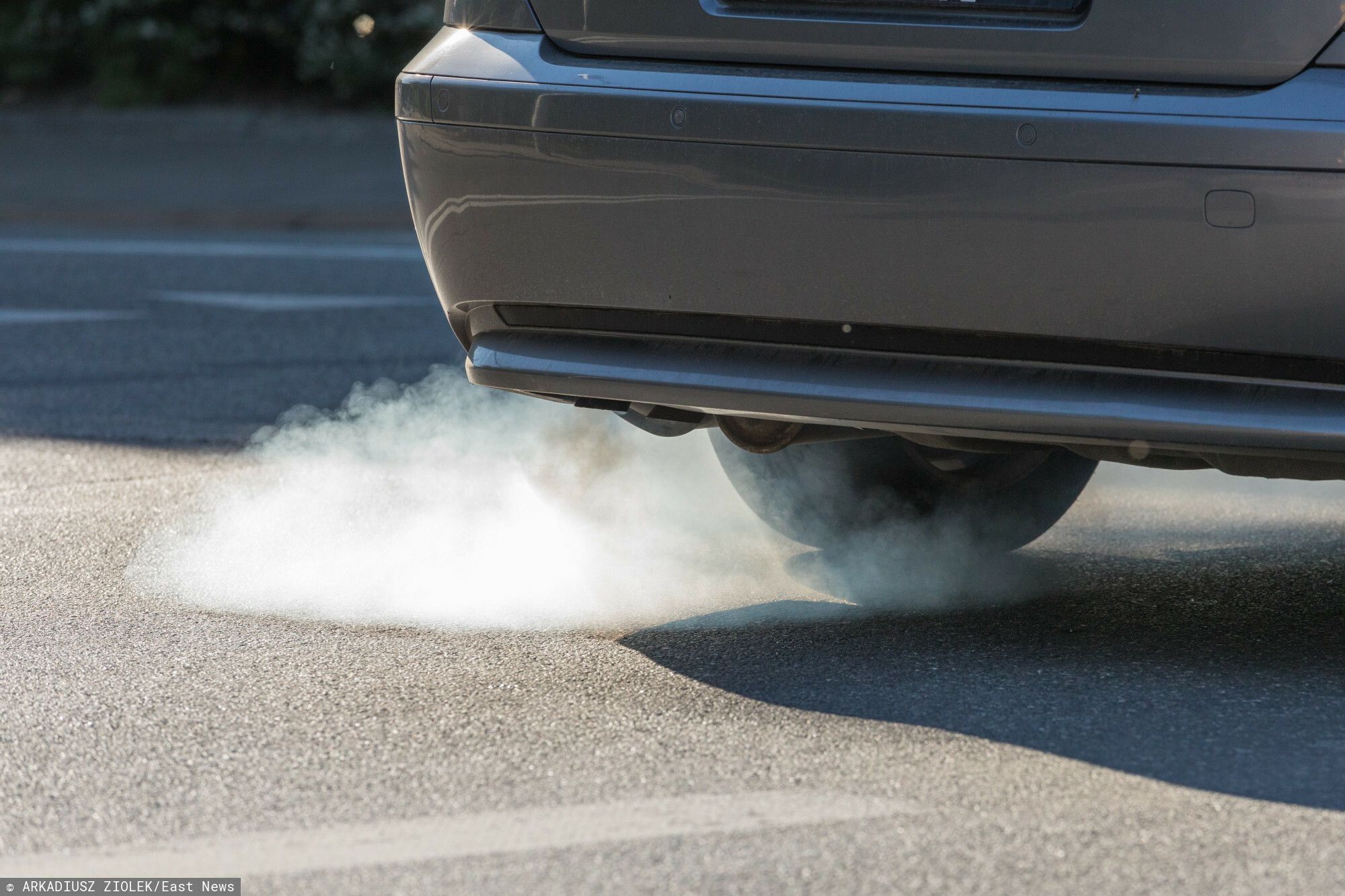 Niemcy i Włochy przedstawiły bezwzględne stanowisko. Nagły zwrot akcji ws. aut spalinowych w UE
