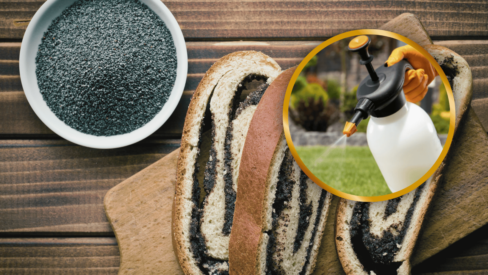 Mak nie taki zdrowy? Pestycydy w popularnych masach – co mówią eksperci