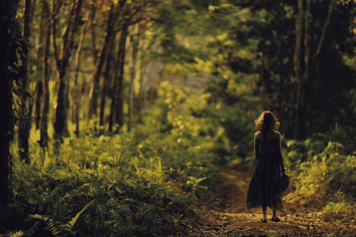 Spacer w lesie – kontakt z naturą wspiera zdrowie i równowagę psychiczną