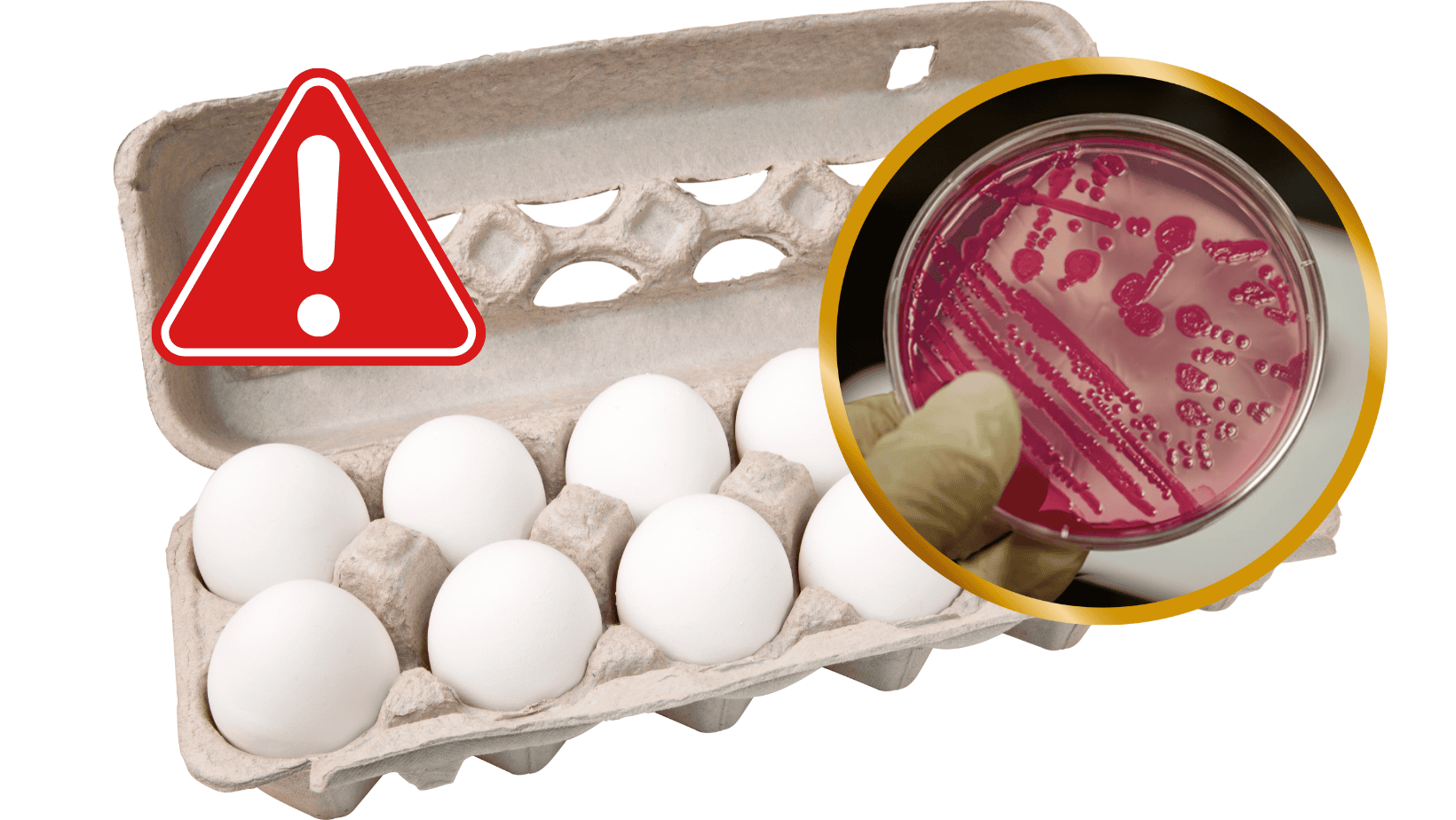 GIS wydał ostrzeżenie - masz te jajka w lodówce? Sprawdź zanim coś z nimi ugotujesz!