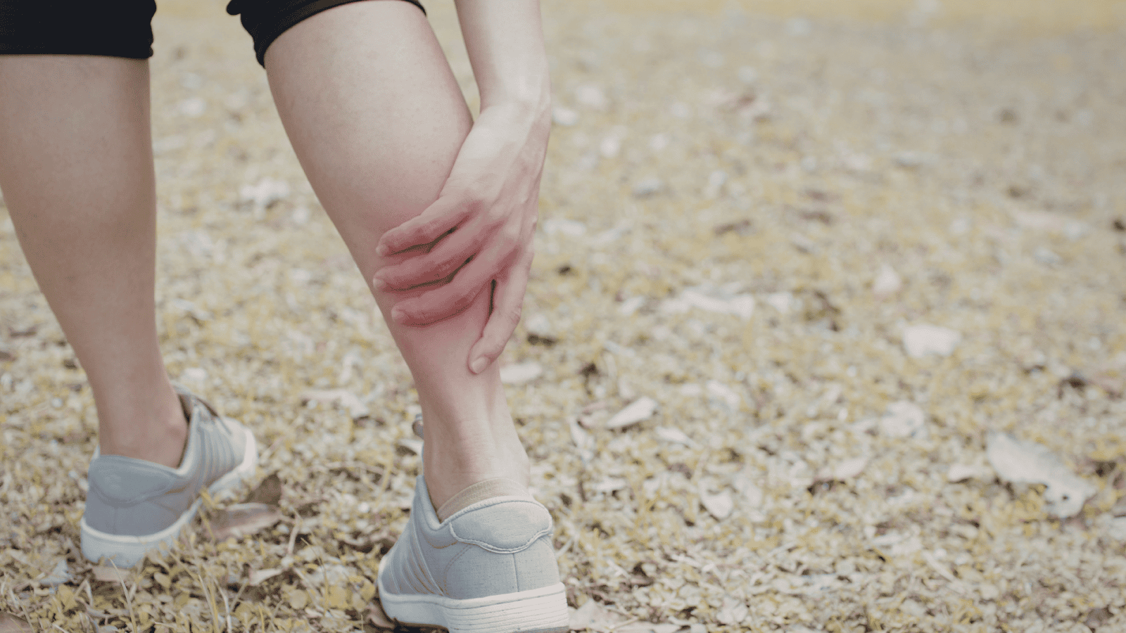 Izabela Nestioruk-Narojek