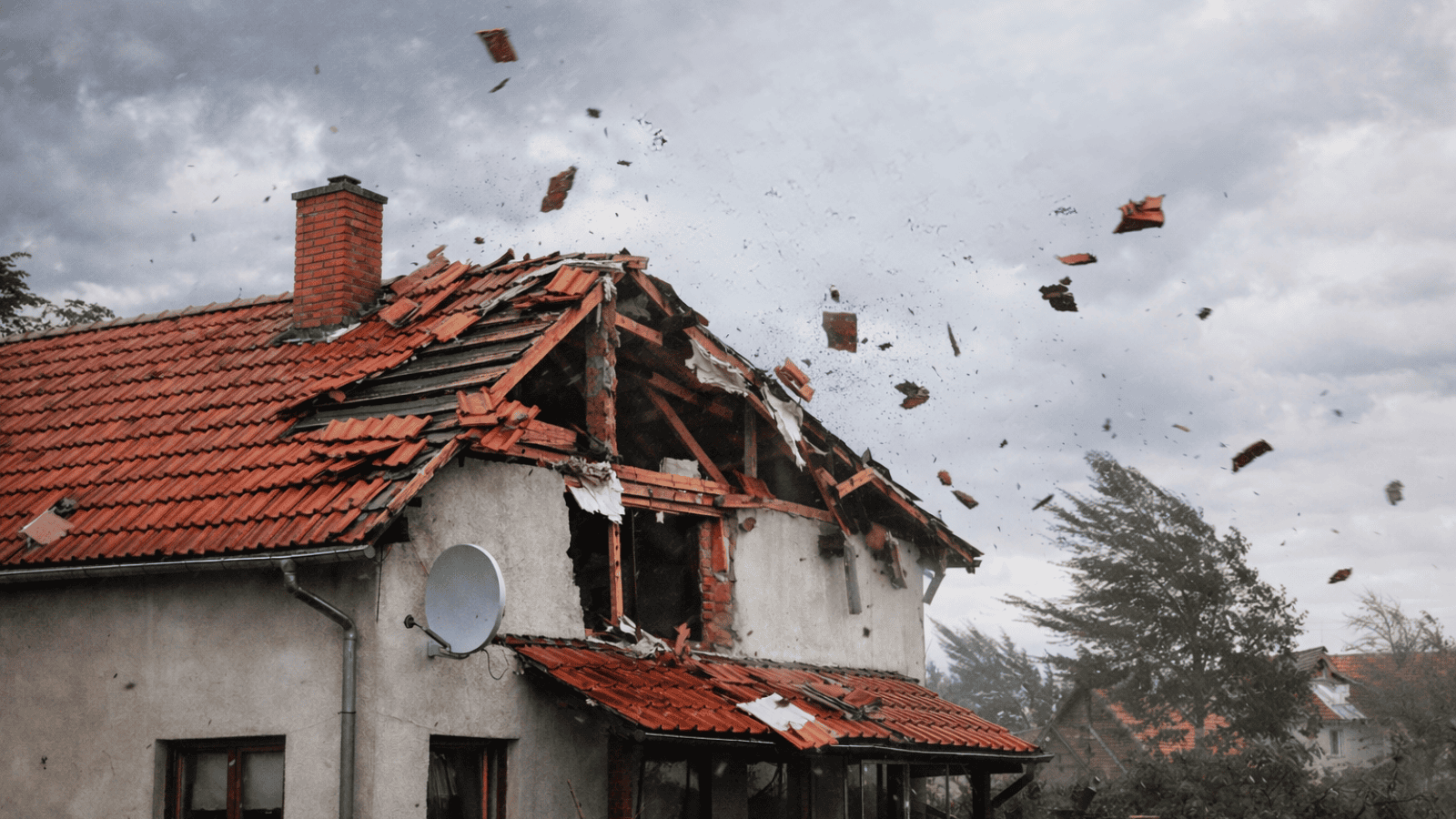 Magdalena  Fordymacka