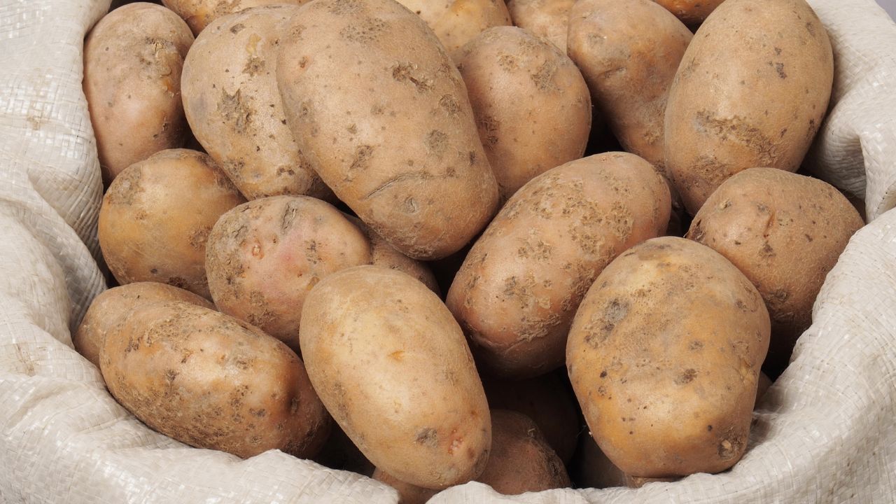 Worek kartofli