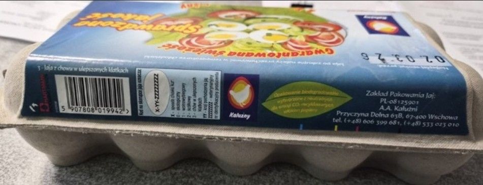 GIS pilnie wycofuje jajka ze sprzedaży. Na skorupkach groźna bakteria