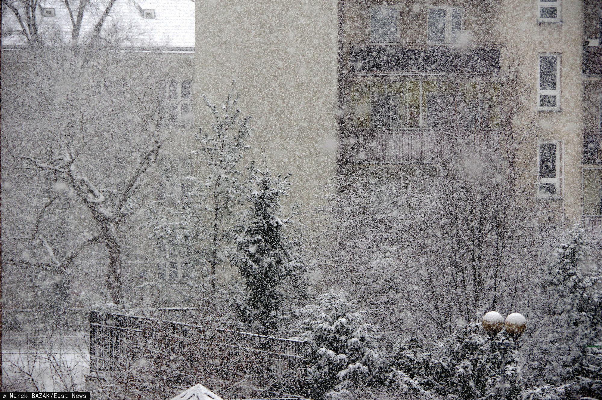 Śnieżyca Warszawa