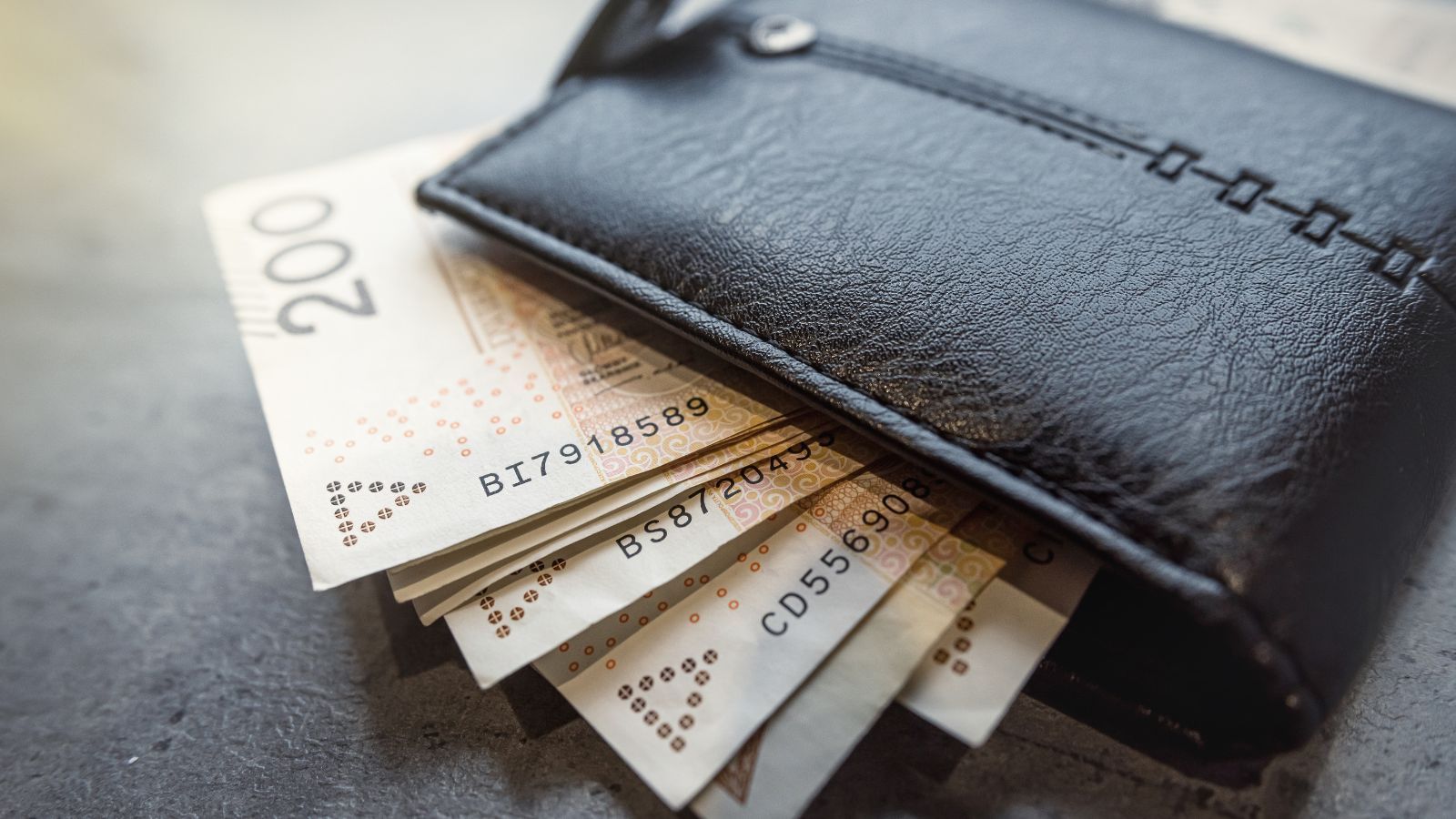 ZUS portfel pieniędzy