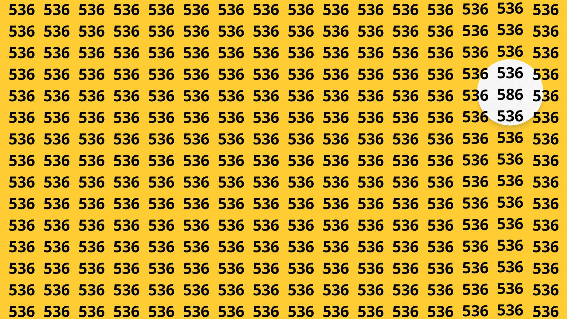 Zagadka optyczna. W 15 sekund znajdź liczbę 586. Fot. bryk.pl (2).jpg