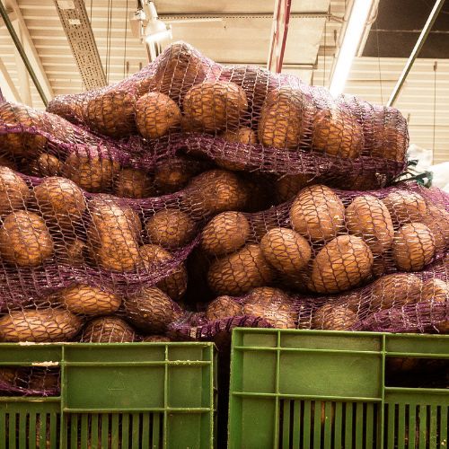 Wzięli pod lupę ziemniaki z Biedronki i Lidla. Wyniki testów laboratoryjnych są jasne