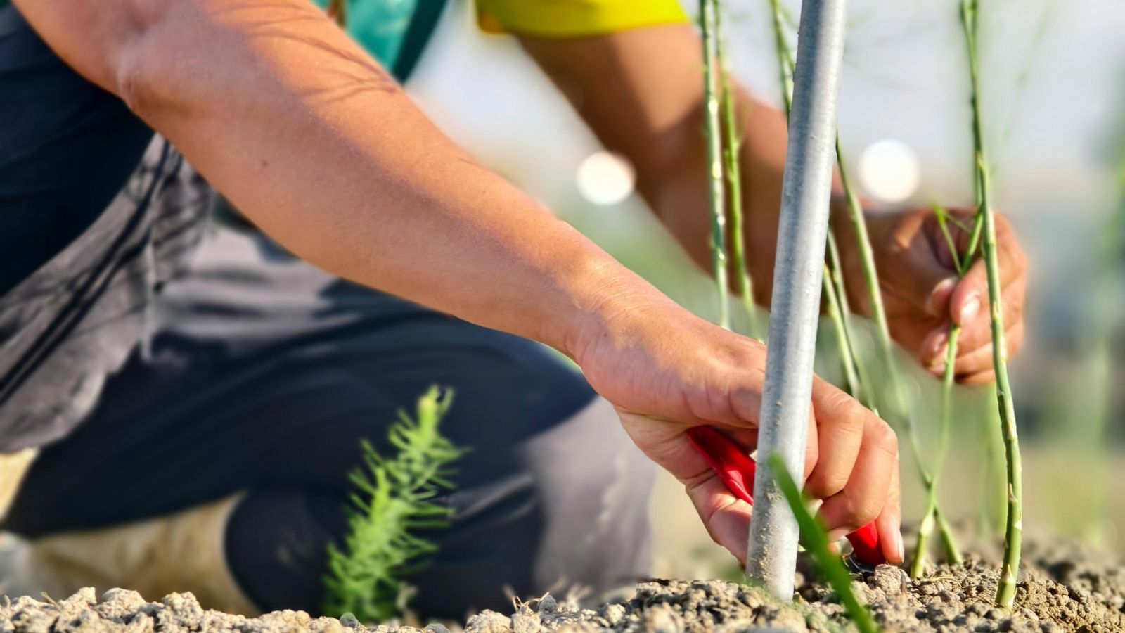 Płacą 14 tys. zł miesięcznie, a wymagania są minimalne. Polacy i tak kręcą nosem na tę pracę