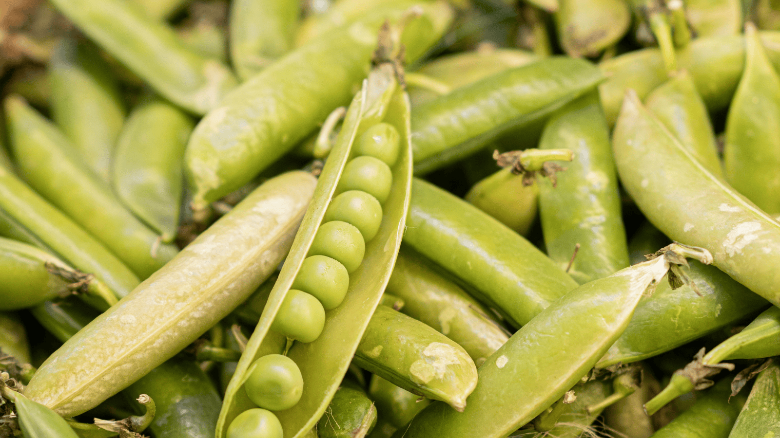 Redakcja Pacjenci.pl