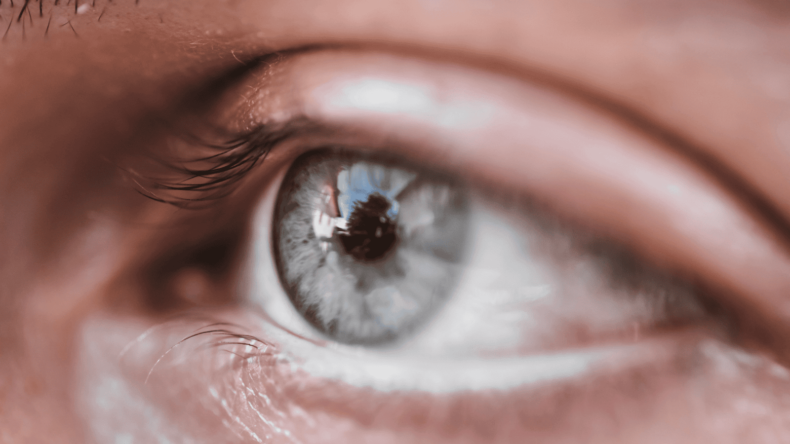 Choroby mózgu widać w oczach. Nowa era w diagnostyce chorób neurodegeneracyjnych