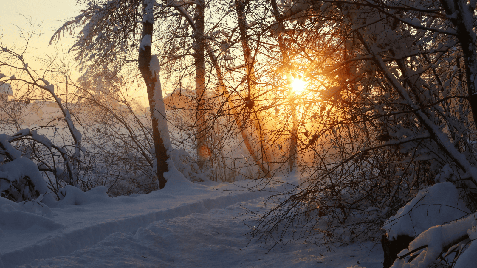 Pogoda na początek roku 2026: czeka nas niemałe zaskoczenie