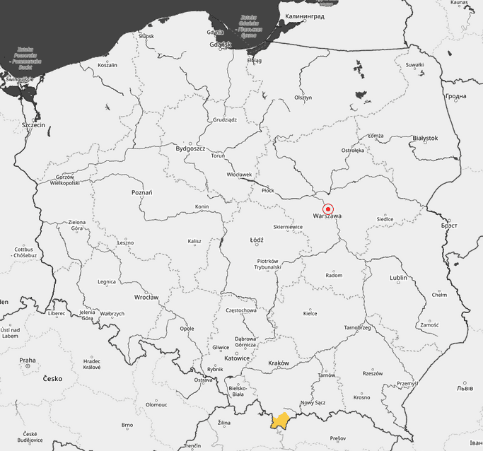 Prawie cała Polska na żółto, wydano trzy rodzaje alertów. Jest apel do mieszkańców