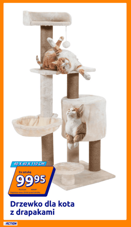 Action zwariowało. W nowej gazetce same hity za grosze, do sklepów ustawią się długie kolejki